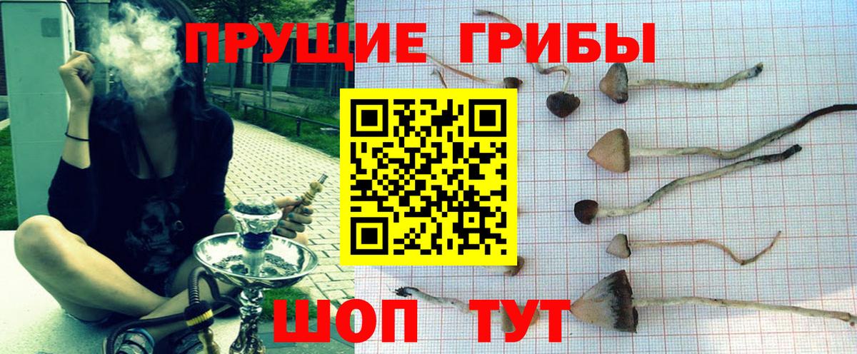 Псилоцибиновые грибы Cubensis Чусовой